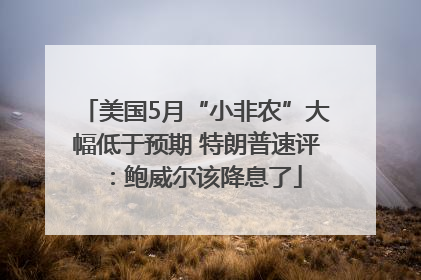 美国5月“小非农”大幅低于预期 特朗普速评：鲍威尔该降息了