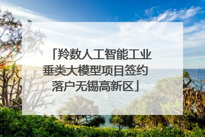 羚数人工智能工业垂类大模型项目签约落户无锡高新区