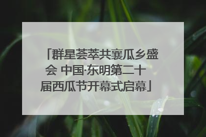 群星荟萃共襄瓜乡盛会 中国·东明第二十届西瓜节开幕式启幕