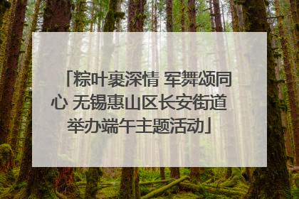 粽叶裹深情 军舞颂同心 无锡惠山区长安街道举办端午主题活动