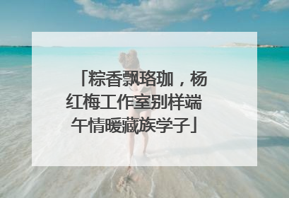 粽香飘珞珈，杨红梅工作室别样端午情暖藏族学子
