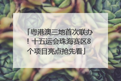 粤港澳三地首次联办！十五运会珠海赛区8个项目亮点抢先看