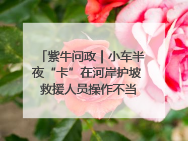紫牛问政｜小车半夜“卡”在河岸护坡 救援人员操作不当致小车翻下河，然后直接走人了