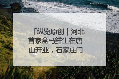 纵览原创｜河北首家盒马鲜生在唐山开业，石家庄门店预计8月开业
