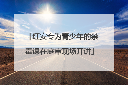 红安专为青少年的禁毒课在庭审现场开讲