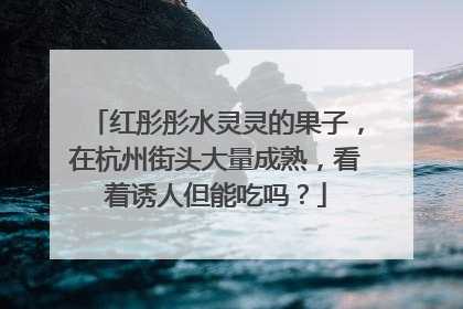 红彤彤水灵灵的果子，在杭州街头大量成熟，看着诱人但能吃吗？