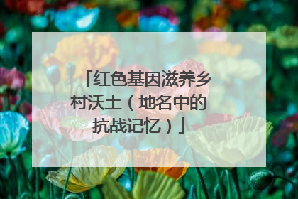 红色基因滋养乡村沃土（地名中的抗战记忆）