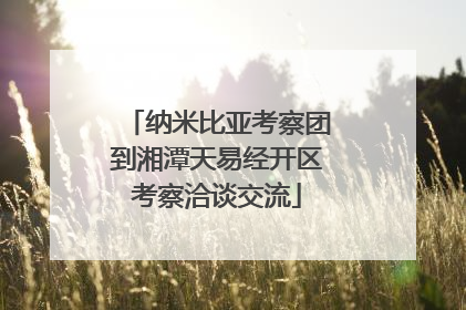 纳米比亚考察团到湘潭天易经开区考察洽谈交流