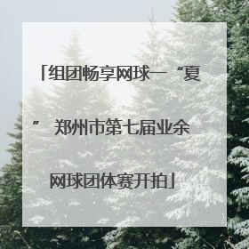 组团畅享网球一“夏” 郑州市第七届业余网球团体赛开拍