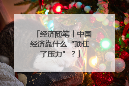 经济随笔丨中国经济靠什么“顶住了压力”？