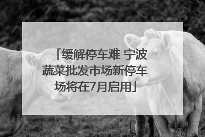 缓解停车难 宁波蔬菜批发市场新停车场将在7月启用