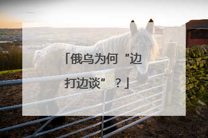俄乌为何“边打边谈”？