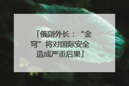 俄副外长：“金穹”将对国际安全造成严重后果