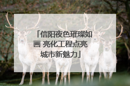 信阳夜色璀璨如画 亮化工程点亮城市新魅力