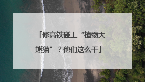 修高铁碰上“植物大熊猫”？他们这么干