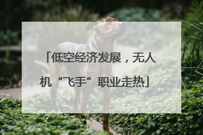 低空经济发展，无人机“飞手”职业走热