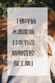 佛坪抽水蓄能项目攻节点精细管控保工期
