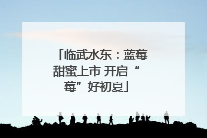 临武水东：蓝莓甜蜜上市 开启“莓”好初夏
