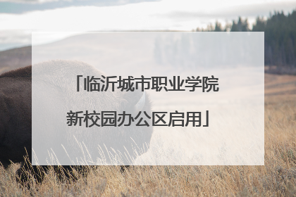 临沂城市职业学院新校园办公区启用