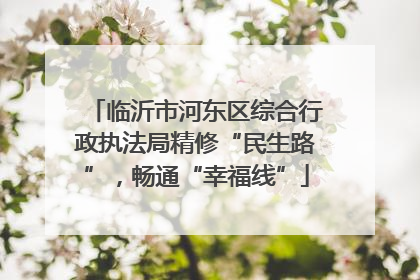 临沂市河东区综合行政执法局精修“民生路”，畅通“幸福线”