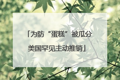 为防“蛋糕”被瓜分 美国罕见主动推销