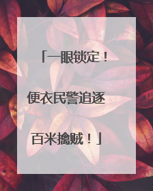 一眼锁定！便衣民警追逐百米擒贼！