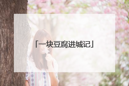 一块豆腐进城记