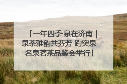 一年四季·泉在济南｜泉茶雅韵共芬芳 趵突泉名泉茗茶品鉴会举行