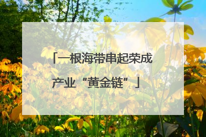 一根海带串起荣成产业“黄金链”