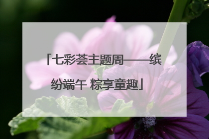 七彩荟主题周——缤纷端午 粽享童趣