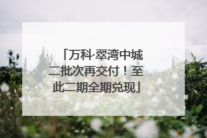 万科·翠湾中城二批次再交付！至此二期全期兑现