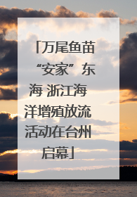 万尾鱼苗“安家”东海 浙江海洋增殖放流活动在台州启幕
