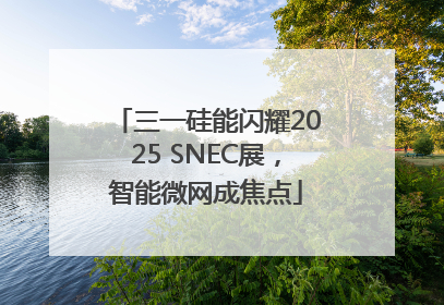 三一硅能闪耀2025 SNEC展，智能微网成焦点