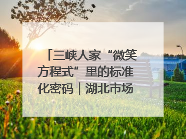 三峡人家“微笑方程式”里的标准化密码｜湖北市场监管所的故事
