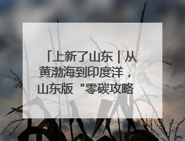上新了山东｜从黄渤海到印度洋，山东版“零碳攻略”有多能打？