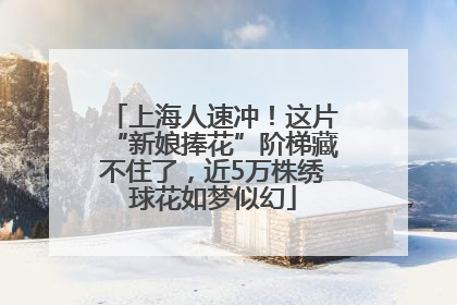 上海人速冲！这片“新娘捧花”阶梯藏不住了，近5万株绣球花如梦似幻