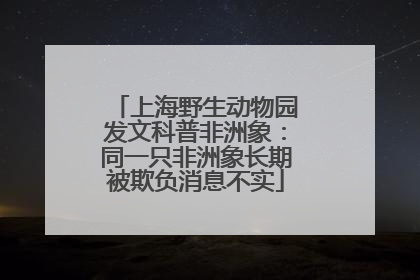 上海野生动物园发文科普非洲象：同一只非洲象长期被欺负消息不实