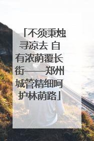 不须秉烛寻凉去 自有浓荫覆长街——郑州城管精细呵护林荫路