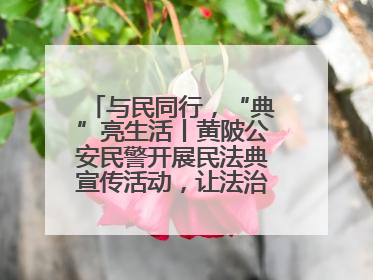 与民同行，“典”亮生活丨黄陂公安民警开展民法典宣传活动，让法治精神在群众心中落地生根