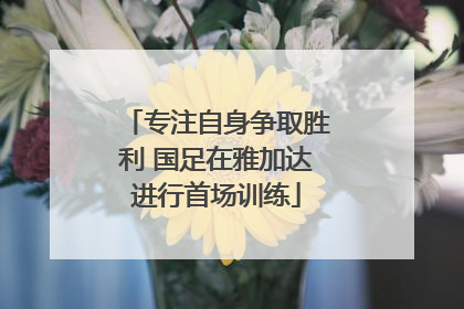 专注自身争取胜利 国足在雅加达进行首场训练