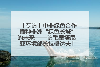 专访丨中非绿色合作播种非洲“绿色长城”的未来——访毛里塔尼亚环境部长拉格达夫