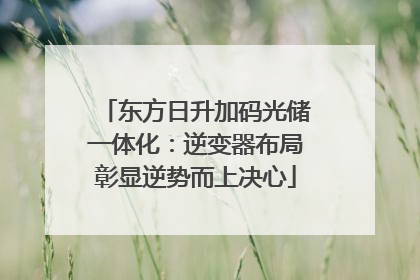 东方日升加码光储一体化：逆变器布局彰显逆势而上决心