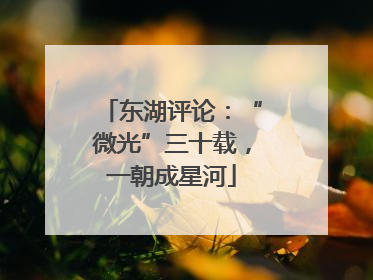 东湖评论：“微光”三十载，一朝成星河