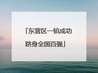 东营区一镇成功跻身全国百强