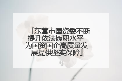 东营市国资委不断提升依法履职水平 为国资国企高质量发展提供坚实保障