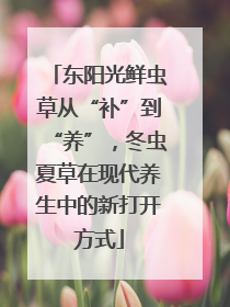 东阳光鲜虫草从“补”到“养”，冬虫夏草在现代养生中的新打开方式