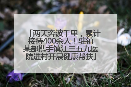 两天奔波千里，累计接待400余人！驻镇某部携手镇江三五九医院进村开展健康帮扶