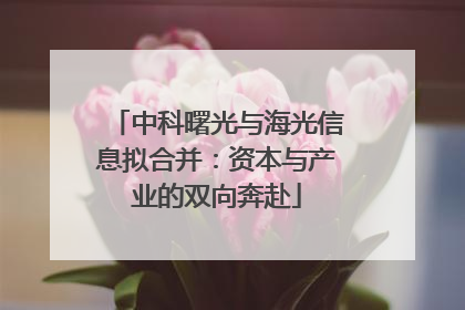中科曙光与海光信息拟合并：资本与产业的双向奔赴