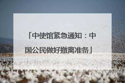中使馆紧急通知：中国公民做好撤离准备
