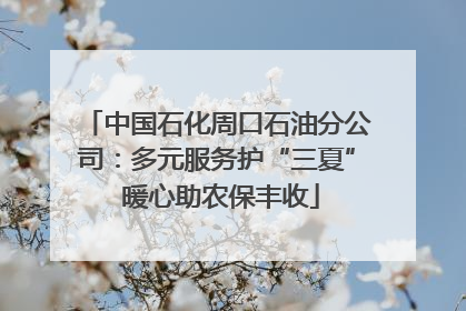 中国石化周口石油分公司：多元服务护“三夏” 暖心助农保丰收
